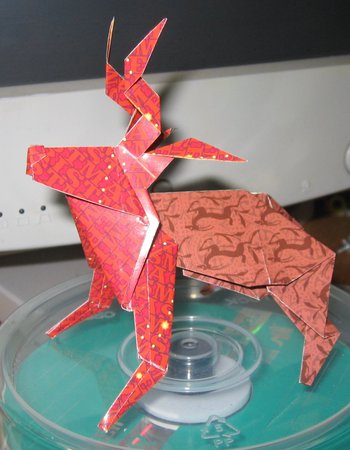 reindeer.jpg