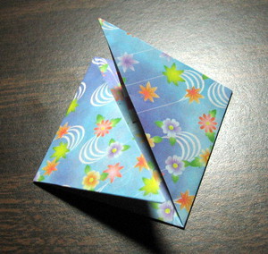 step-7-p.jpg